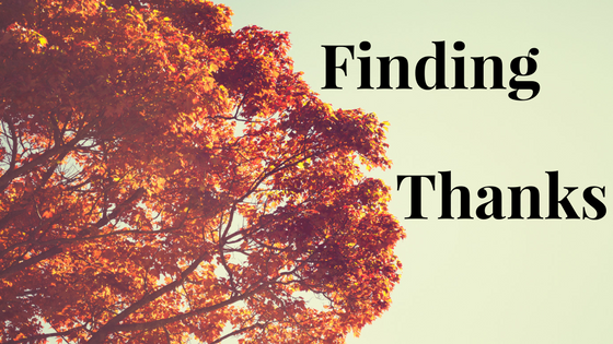 Finding Thanks tag by an orange tree in fall